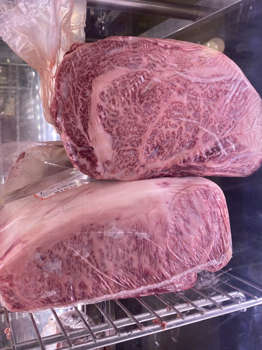 IMG_5711.jpeg IMG_5711.jpeg