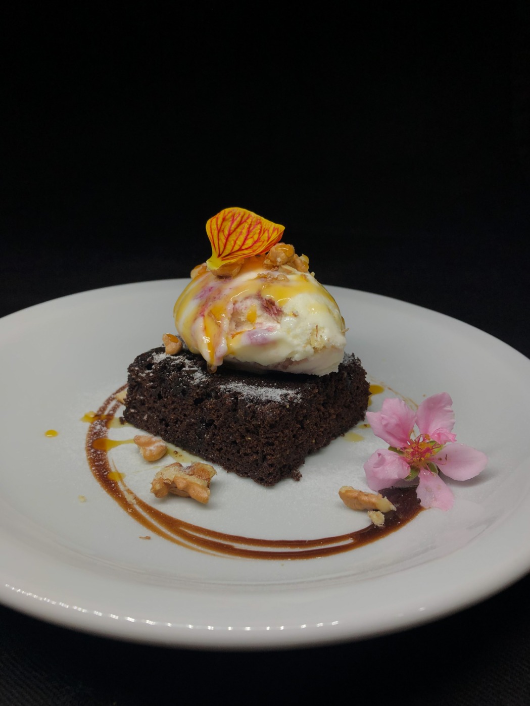 IMG_8784.jpeg IMG_8784.jpeg