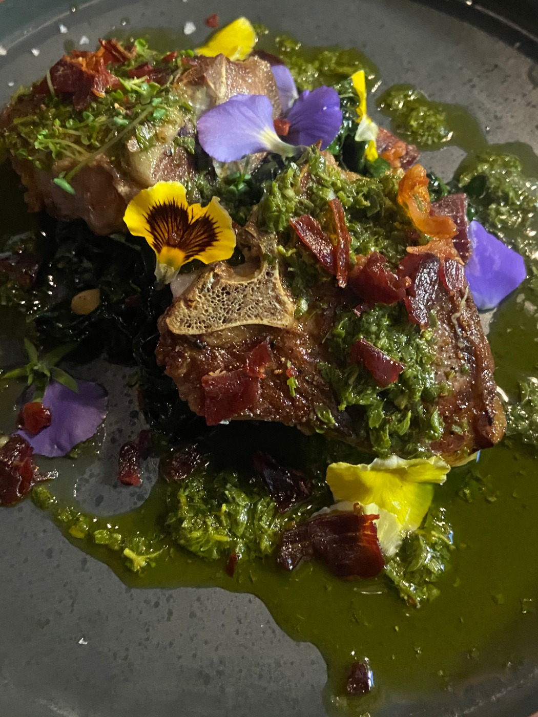 IMG_7146.jpeg IMG_7146.jpeg