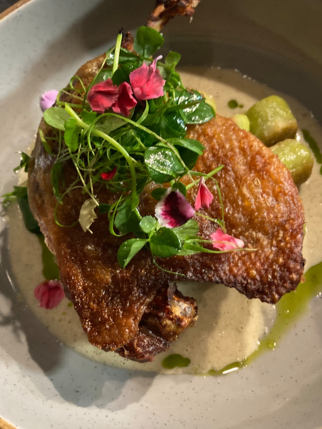 IMG_8246.jpeg IMG_8246.jpeg