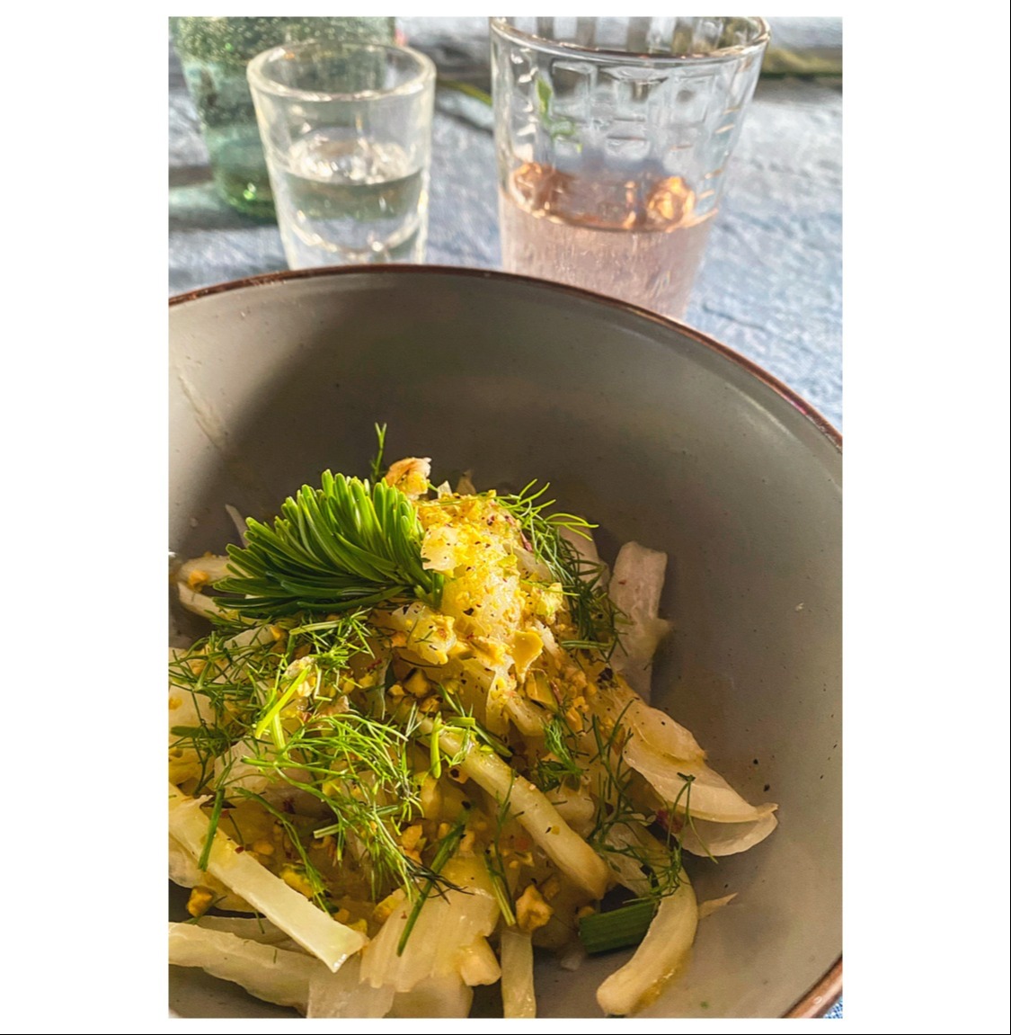 IMG_3704.jpeg IMG_3704.jpeg