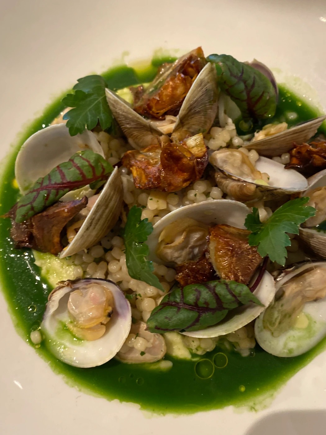 IMG_9483.jpg IMG_9483.jpg