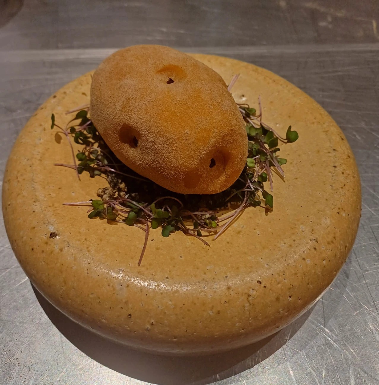 WhatsApp Image 2025-06-10 at 11.03.21 PM.jpeg