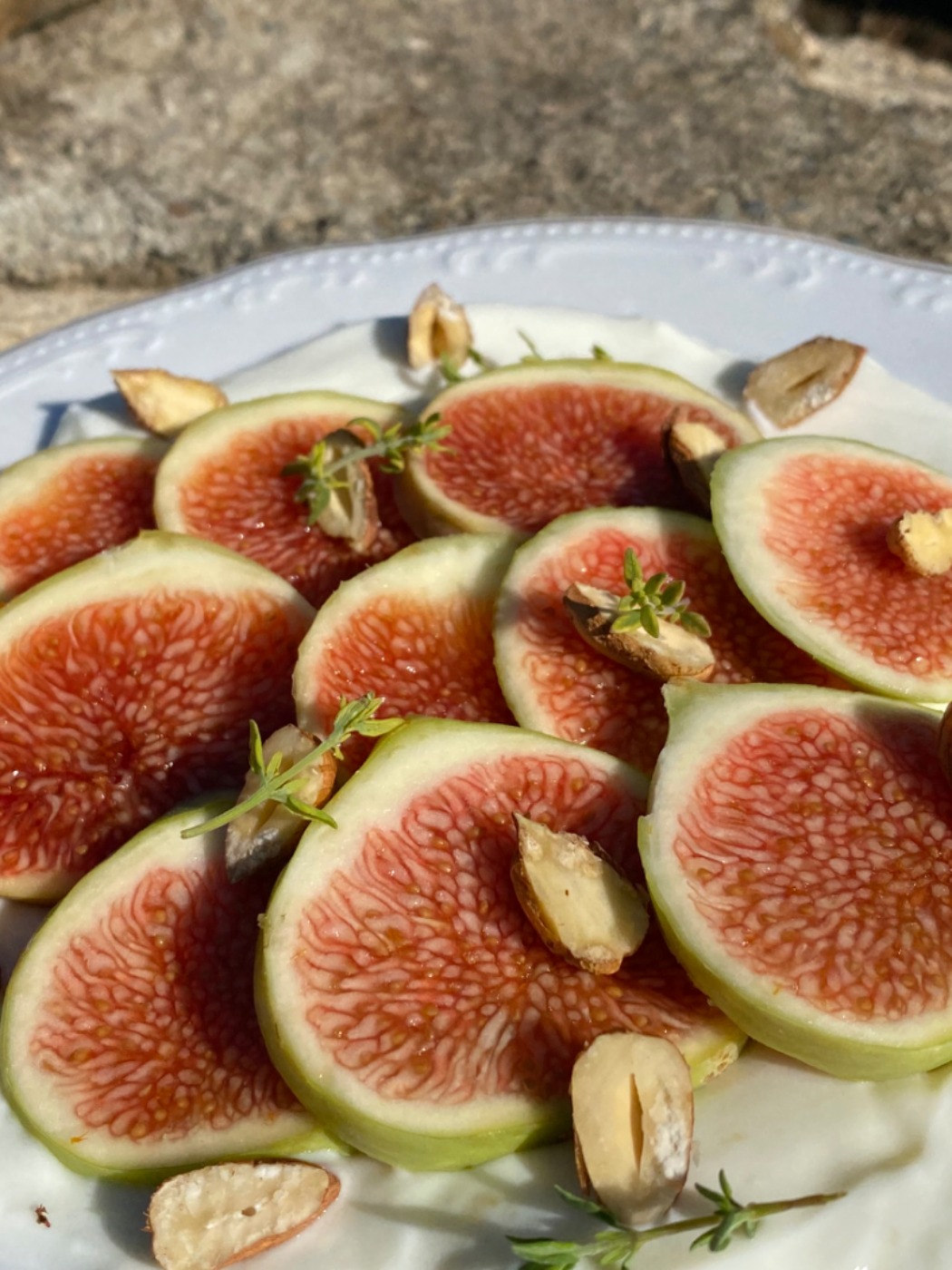 IMG_4421.jpeg IMG_4421.jpeg