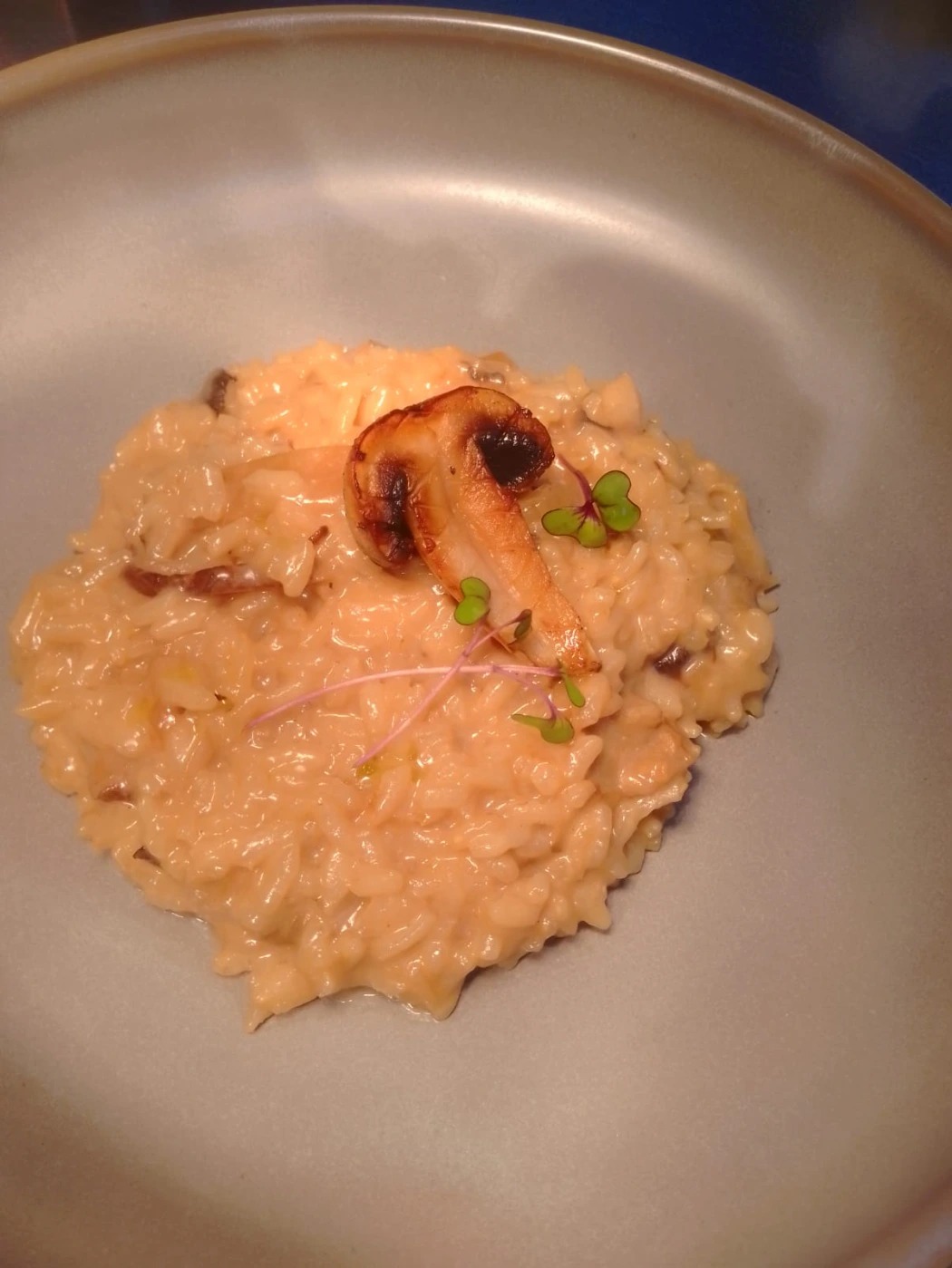 risotto.jfif risotto.jfif