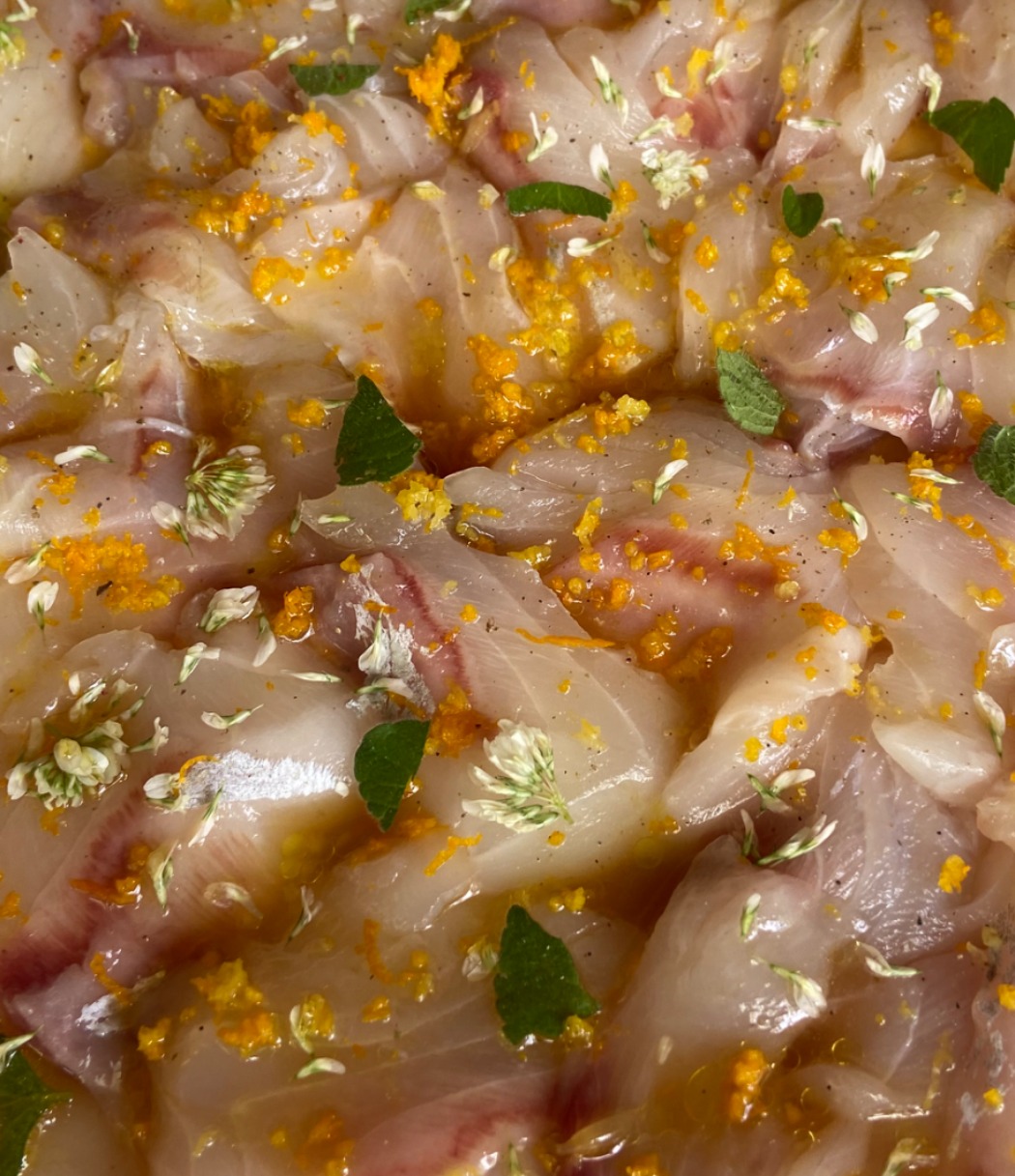 IMG_3520.jpeg IMG_3520.jpeg