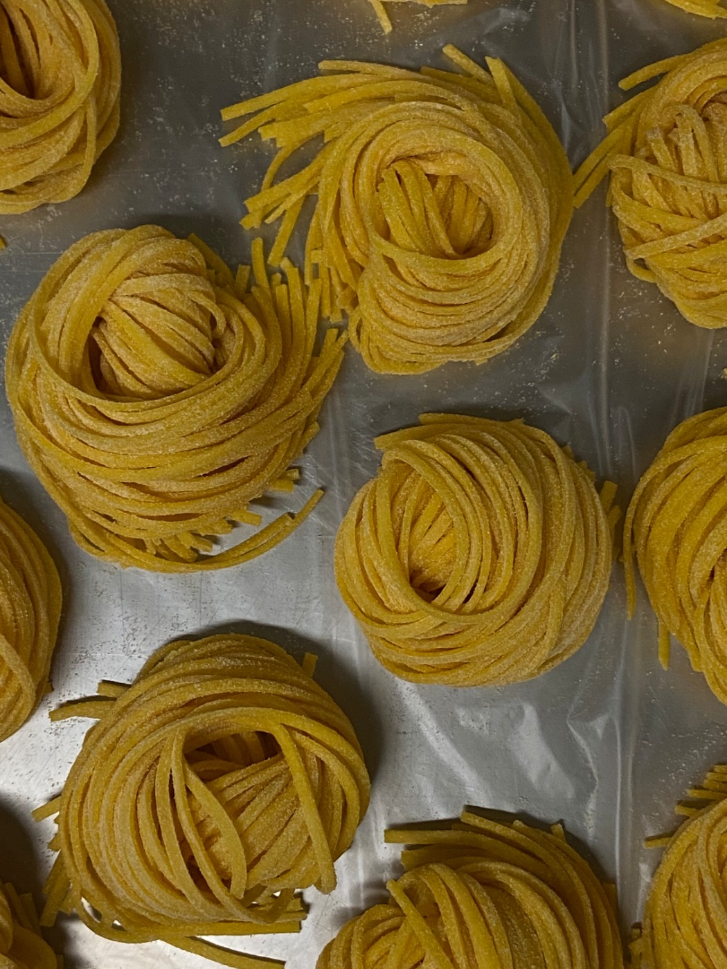 IMG_4503.jpeg IMG_4503.jpeg