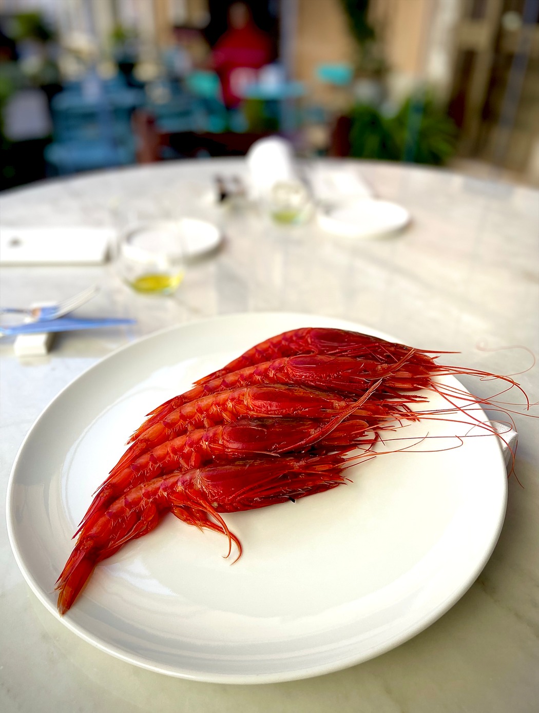 IMG_4317.jpeg IMG_4317.jpeg