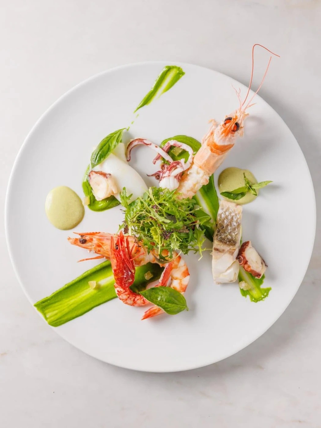 504076919_18487294807070695_2848335973902809539_n.jpg 504076919_18487294807070695_2848335973902809539_n.jpg