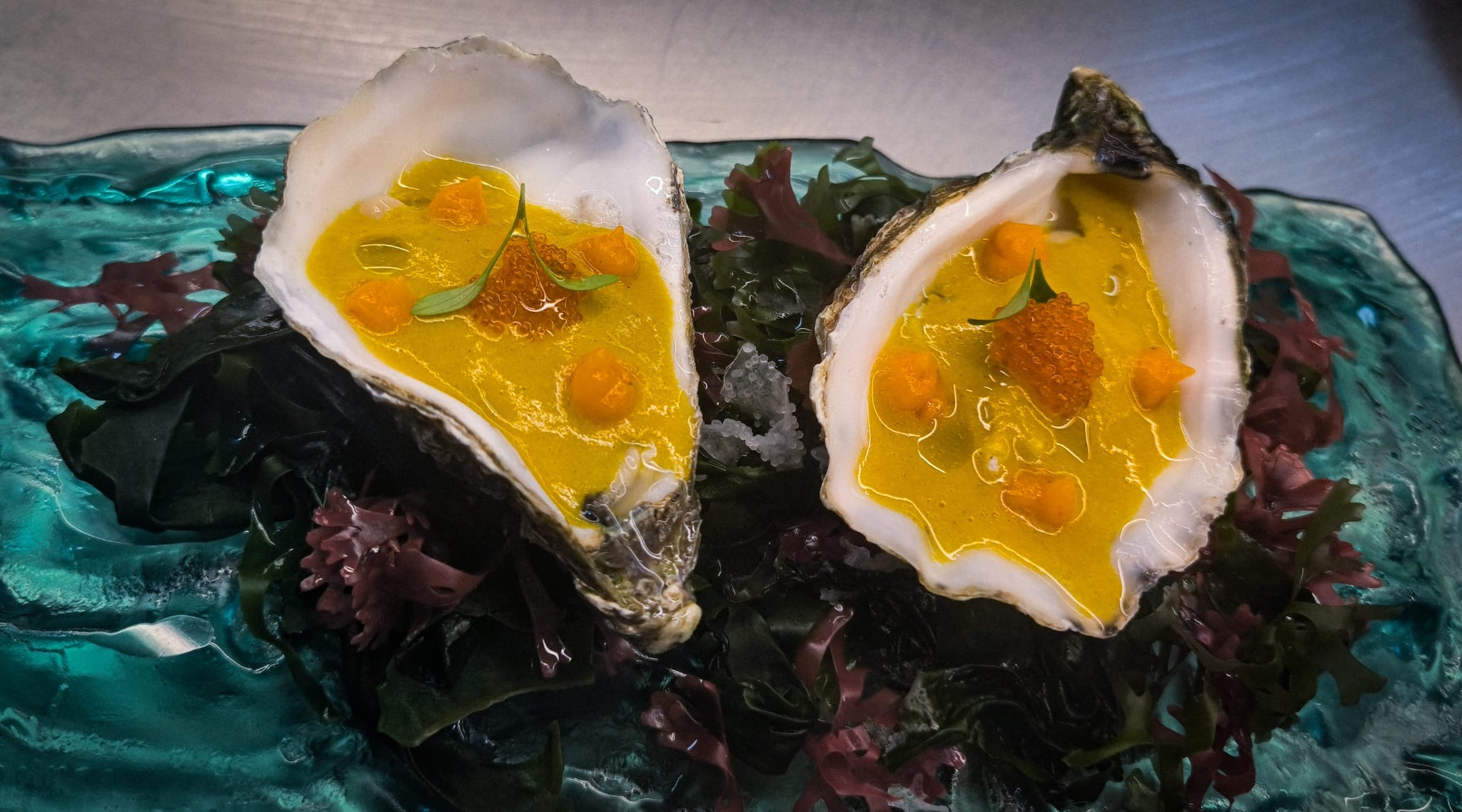 64674267-f168-44f4-b487-7aac1d3a96d5.jpeg 64674267-f168-44f4-b487-7aac1d3a96d5.jpeg