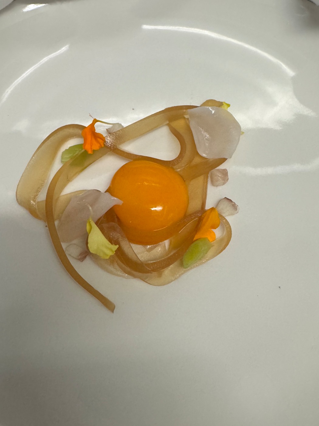 IMG_4346.jpeg IMG_4346.jpeg