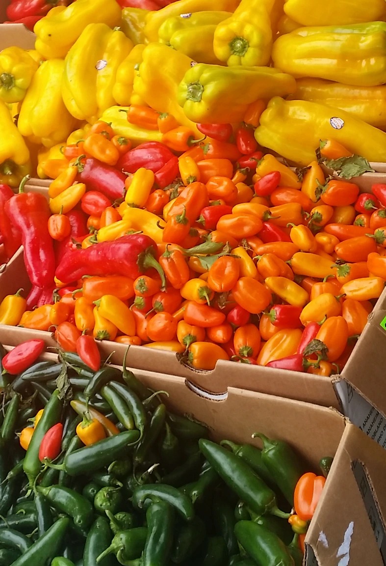 1000035294.jpg 1000035294.jpg