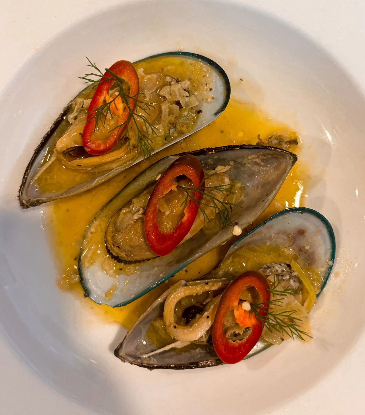 WhatsApp Image 2025-06-18 at 11.37.27 (1).jpeg