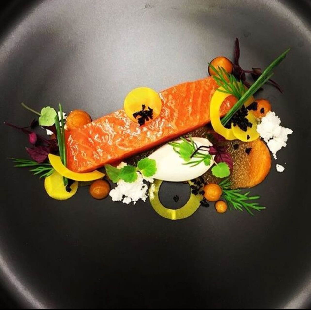 IMG_4304.jpeg IMG_4304.jpeg