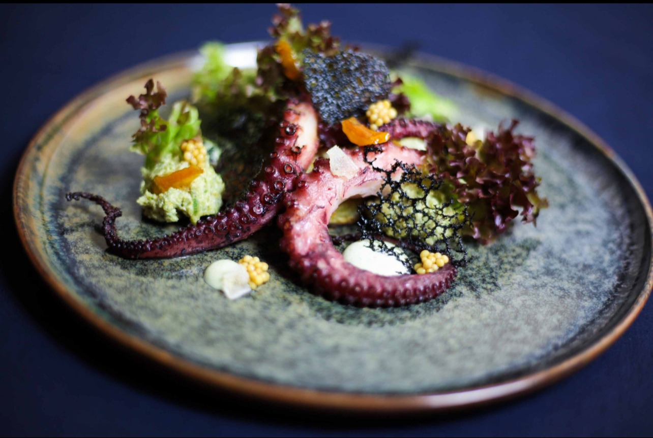 IMG_4305.jpeg IMG_4305.jpeg