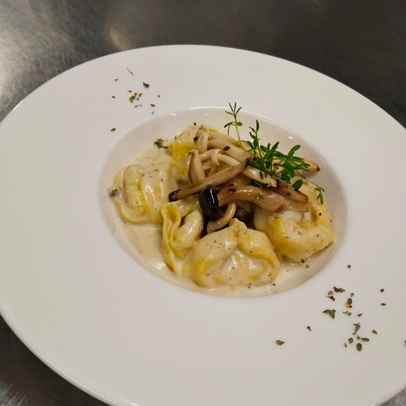 1000209866.jpg 1000209866.jpg