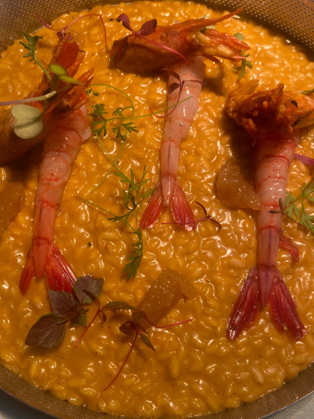 IMG_3519.jpeg IMG_3519.jpeg