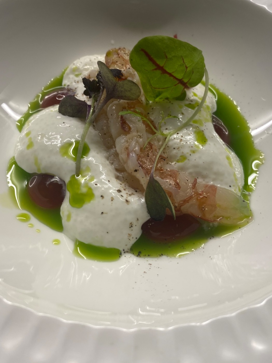 IMG_3268.jpeg IMG_3268.jpeg