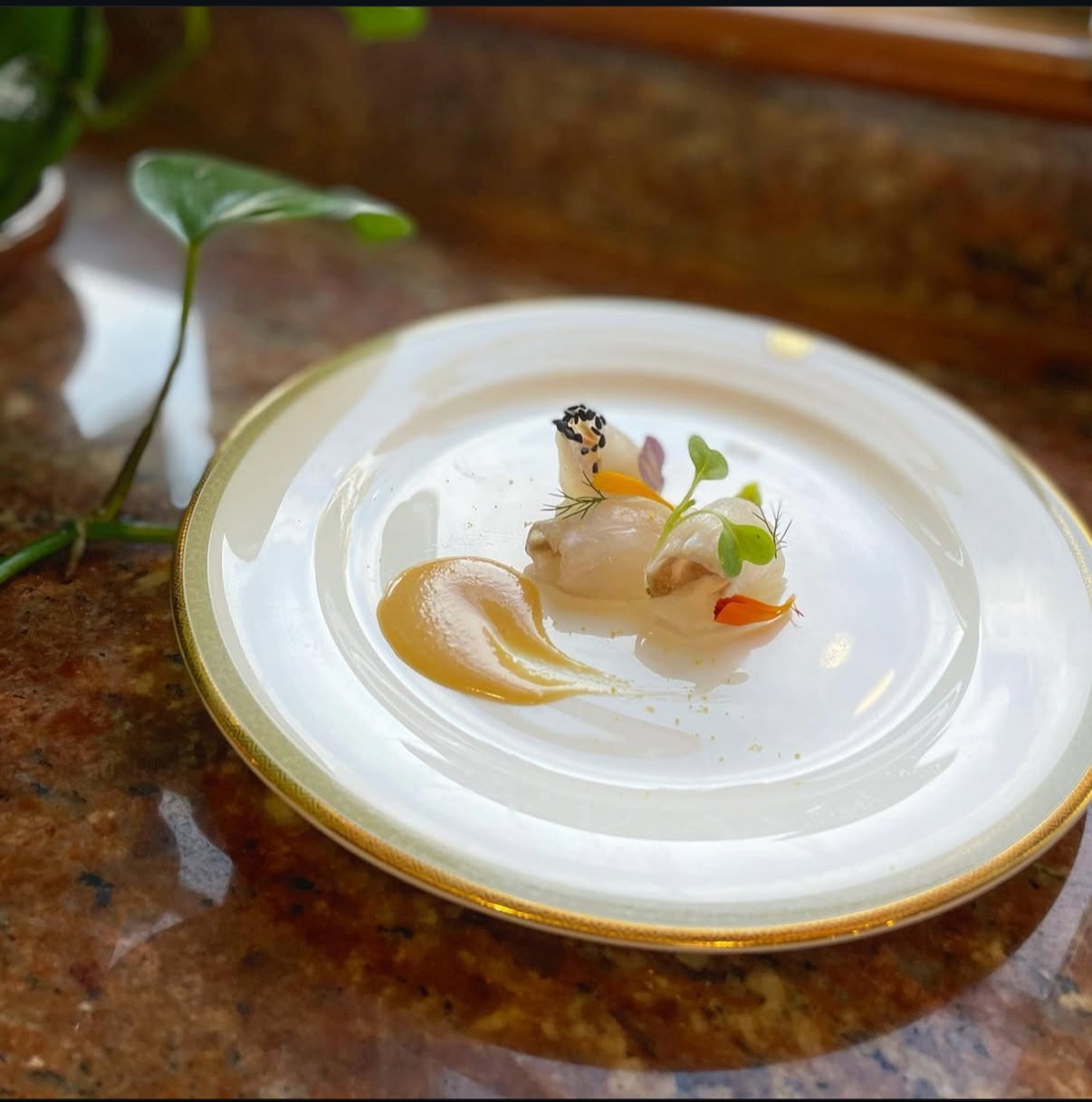 IMG_4402.jpeg IMG_4402.jpeg