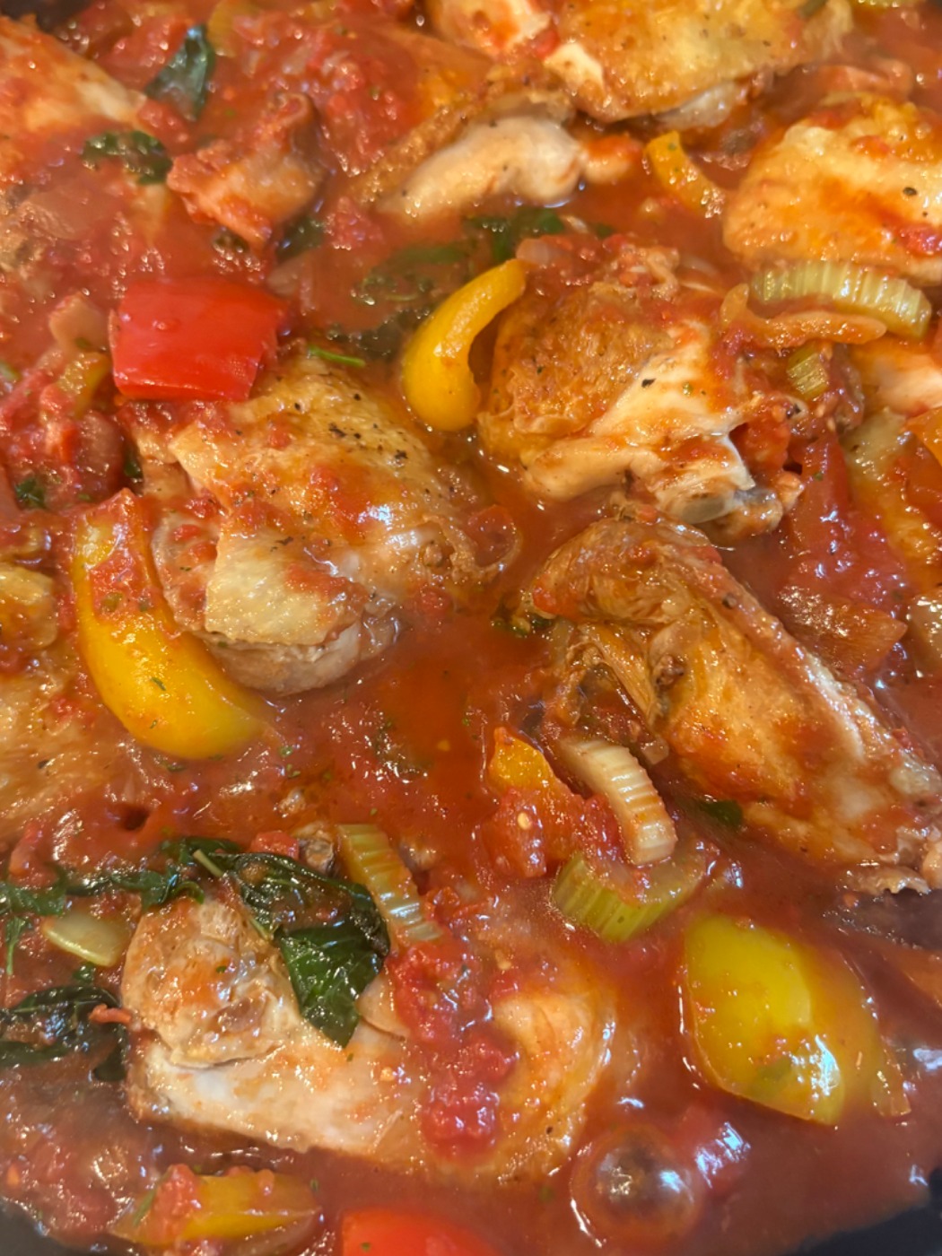 IMG_9168.jpeg IMG_9168.jpeg