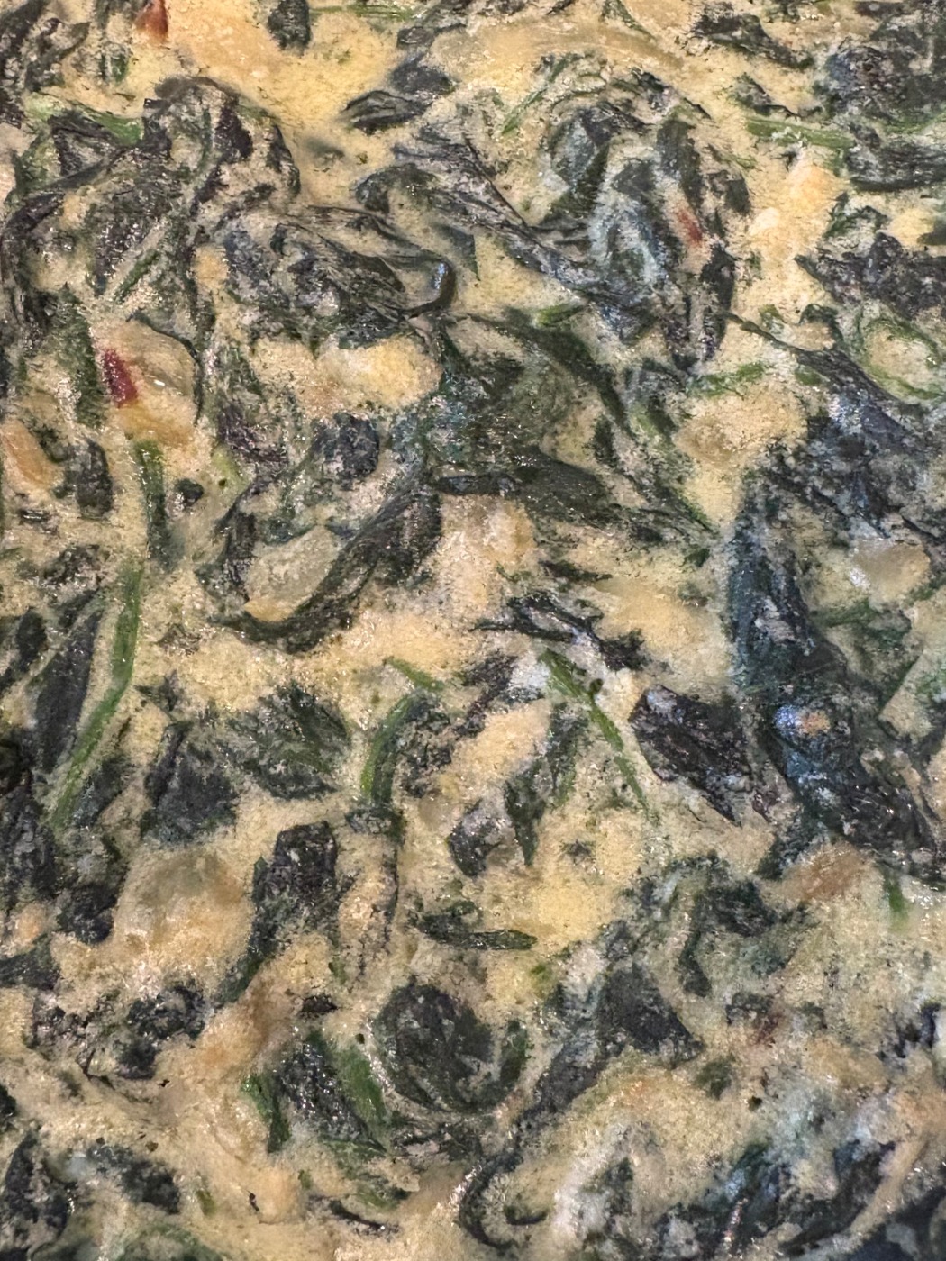 IMG_9567.jpeg IMG_9567.jpeg