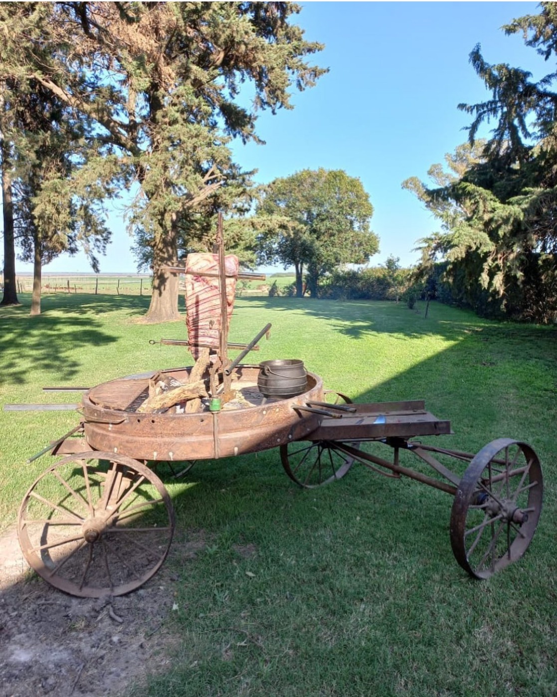 IMG_9780.jpeg IMG_9780.jpeg