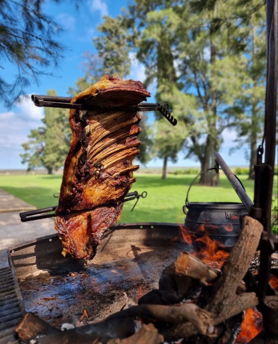 IMG_9781.jpeg IMG_9781.jpeg