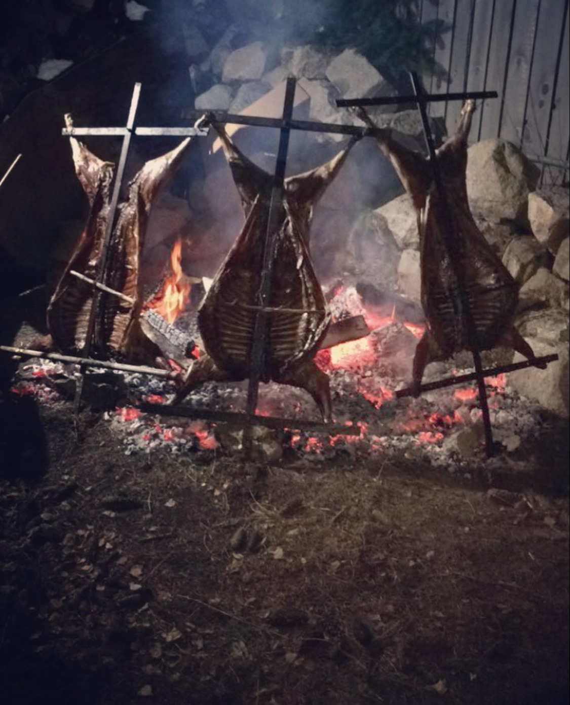 IMG_9782.jpeg IMG_9782.jpeg