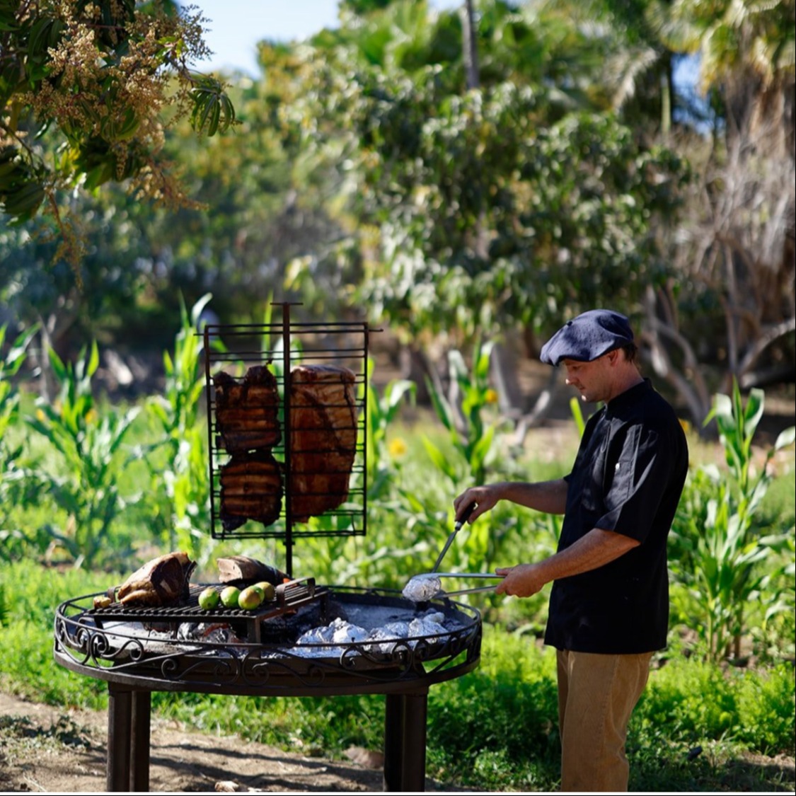 IMG_9783.jpeg IMG_9783.jpeg