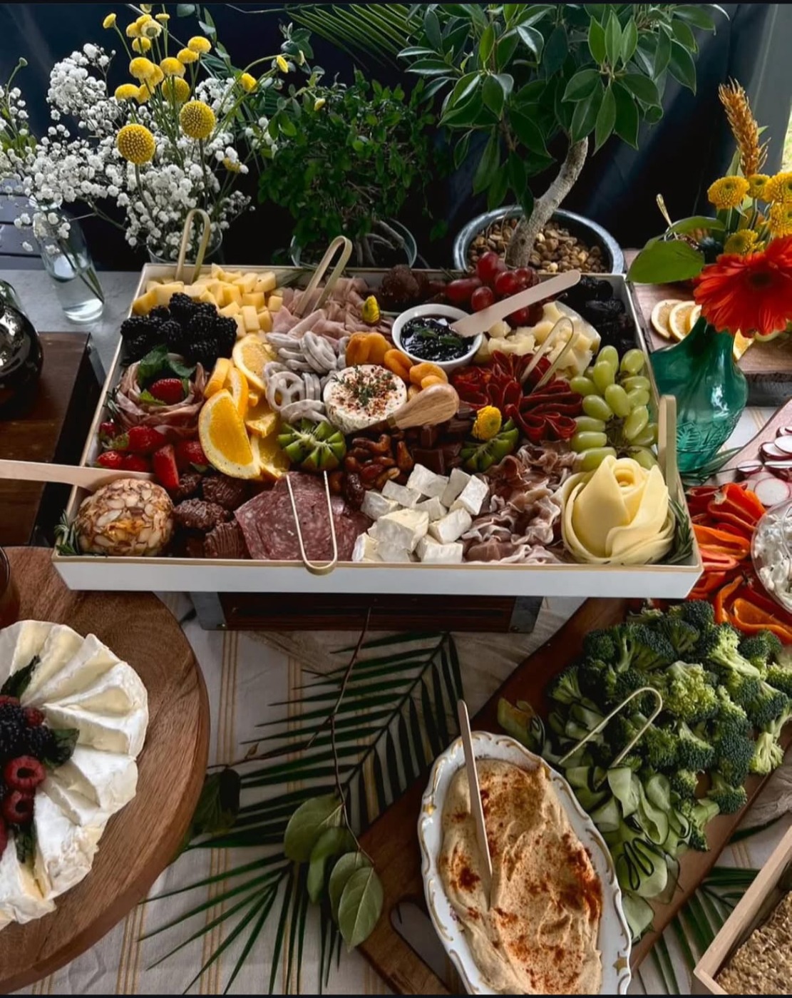 IMG_5757.jpeg IMG_5757.jpeg