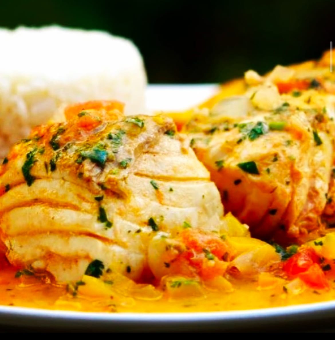 IMG_5755.jpeg IMG_5755.jpeg