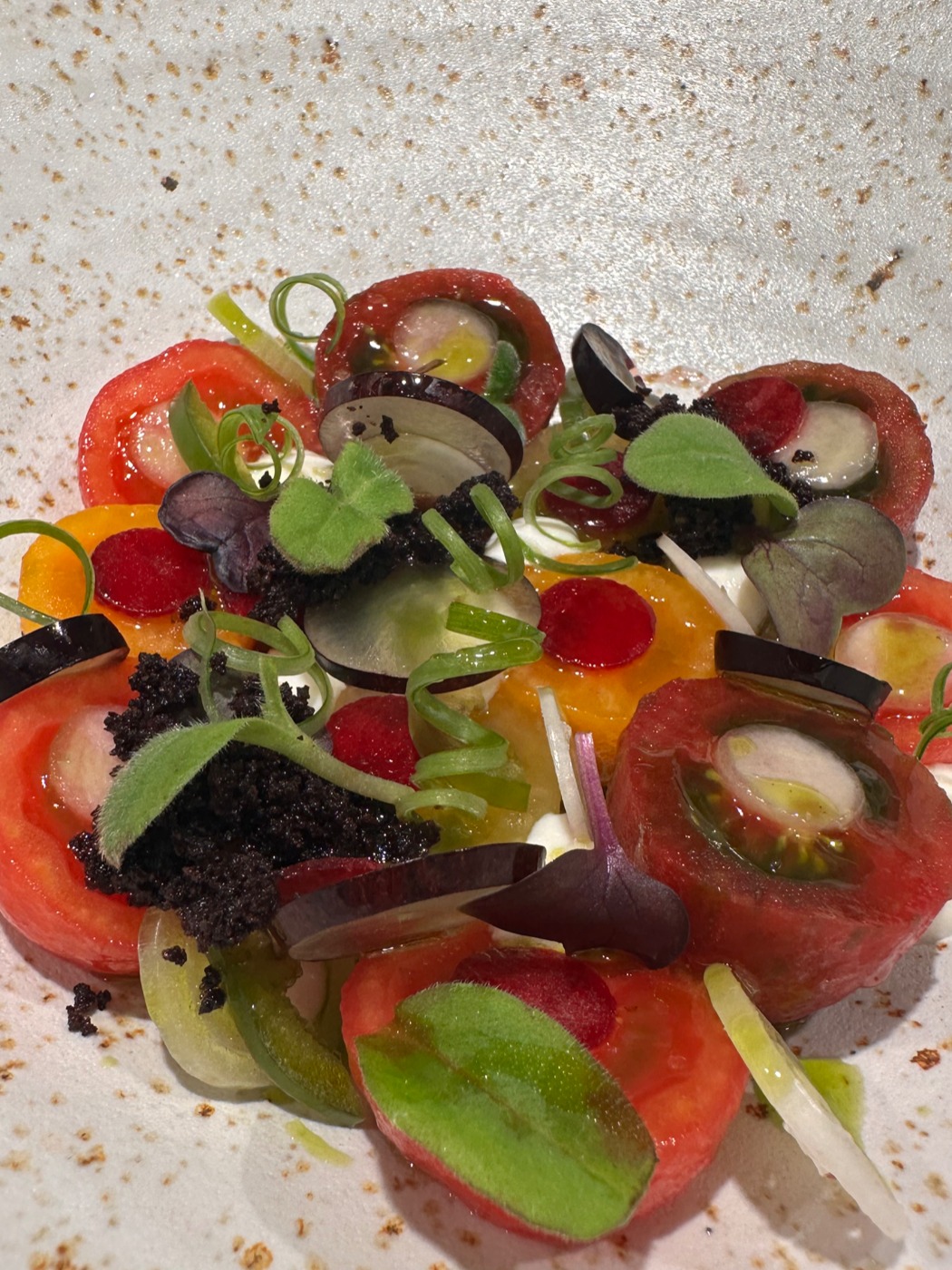 tempImageJNwMAP.jpg tempImageJNwMAP.jpg