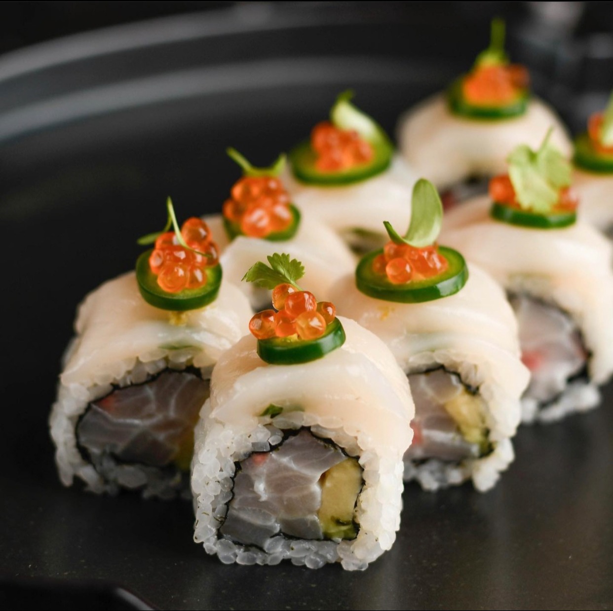 IMG_3530.jpeg IMG_3530.jpeg