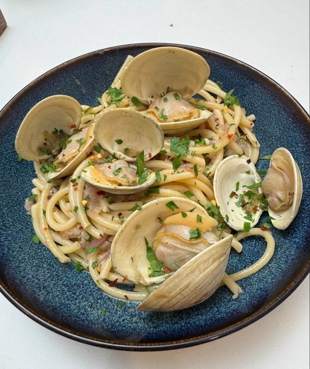 clam pasta.png clam pasta.png