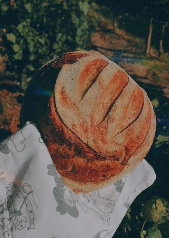 IMG_20250422_120135_998.jpg IMG_20250422_120135_998.jpg