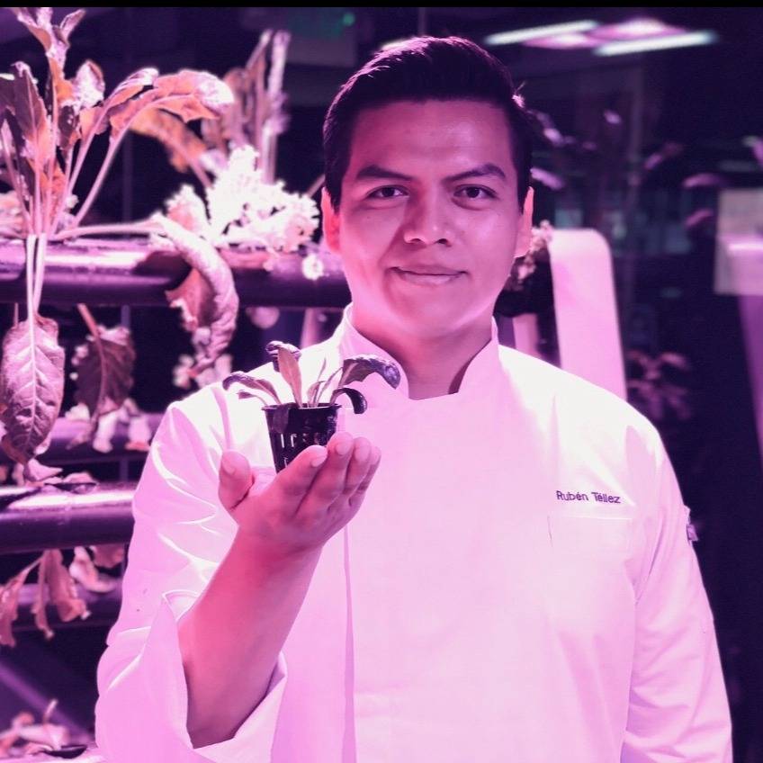 Raziel Rubén Alejandro Téllez Corona - Private Chef in Huehuetoca