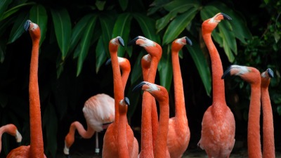 Ganapathy kumar 95863 unsplash