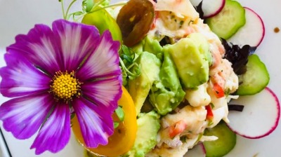 F9BC 8EF0 407E 89FA E7B0AD082F7C