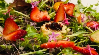 F7F28A5D 8E67 4EAD AB51 BBE811A9F9C3