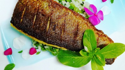 IMG 20190209 131920 169