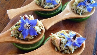 Screen Shot 2019 06 24 at 2 13 06 PM 1