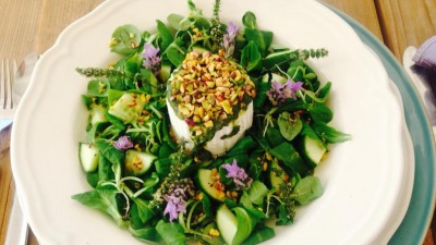 Screen Shot 2019 07 05 at 10 17 19 AM