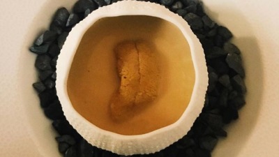 F4A150 4035 4BAE B669 EA2CEF6B1171