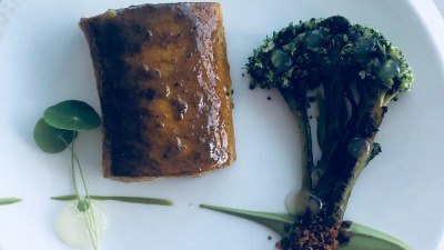 E220E19C 5258 4C72 9ED9 0246CE8F1ACD