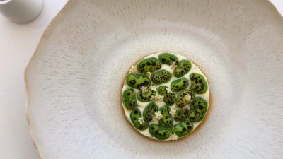 C589155A F620 43CE 8DEC C4EC880D10FC