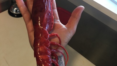 B973B0 6141 4D63 89ED 1FE861B957F7