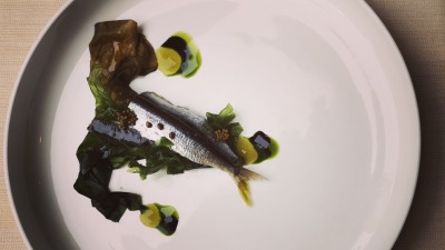 F8E50FAD C7CE 4377 9233 1552D02D00B8