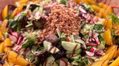 Screen Shot 2019 09 20 at 12 45 03 PM