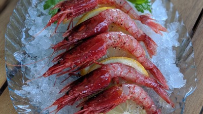 PORTRAIT 00100 BURST20190924175320135 COVER