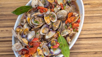 Jayne dishes March 1517